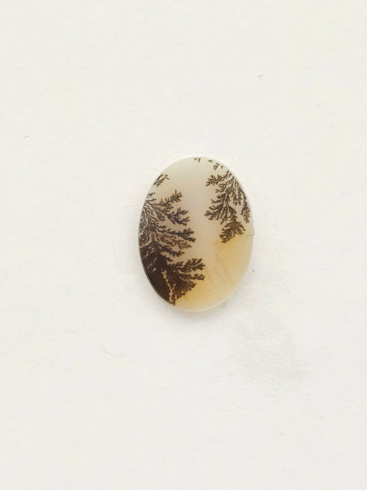 Dentrite agate cabochon large
