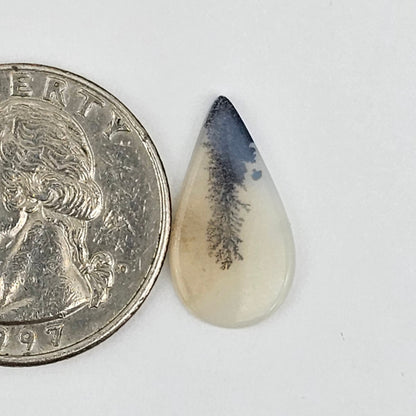 Dentrite agate cabochon large