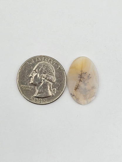 Dentrite agate cabochon large
