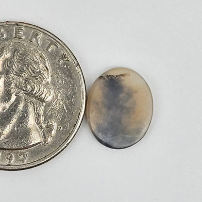 Dentrite agate cabochon large