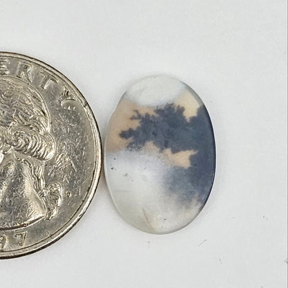Dentrite agate cabochon large