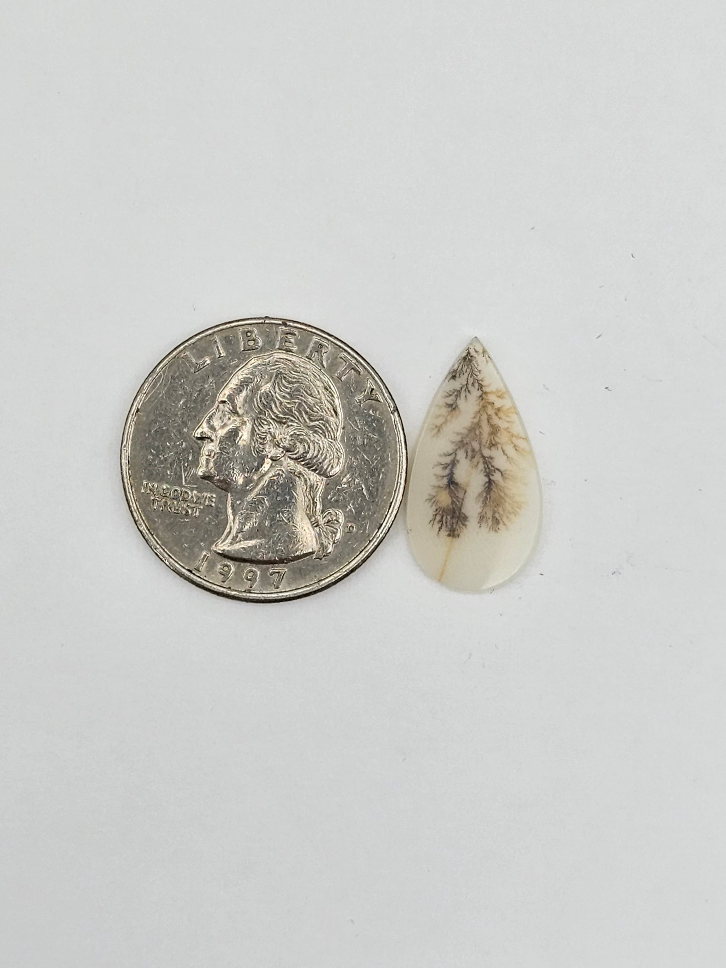 Dentrite agate cabochon large