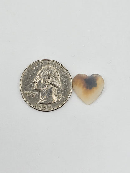 Dentrite agate cabochon large