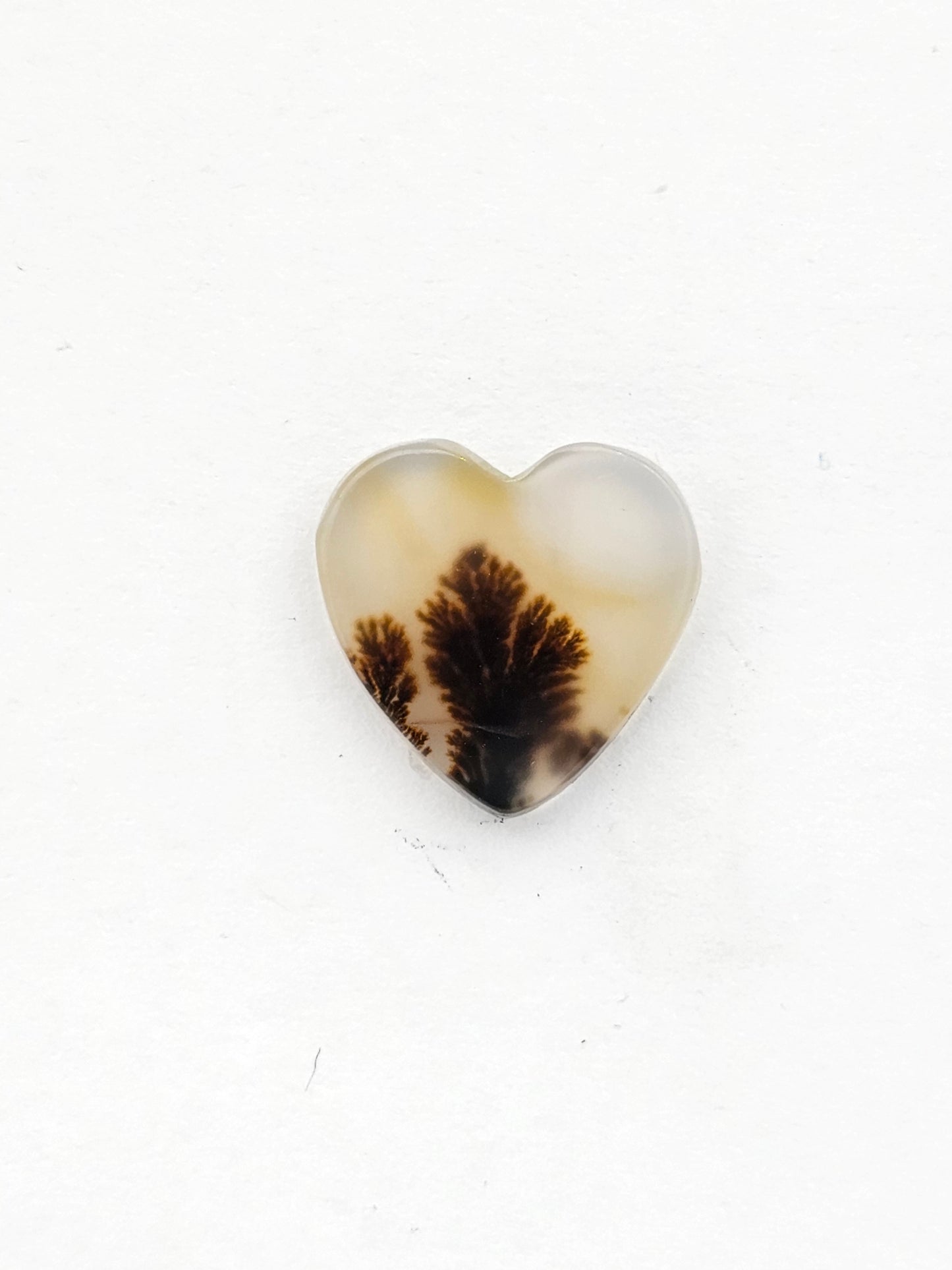 Dentrite agate cabochon large