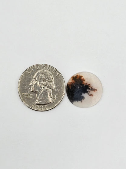 Dentrite agate cabochon large