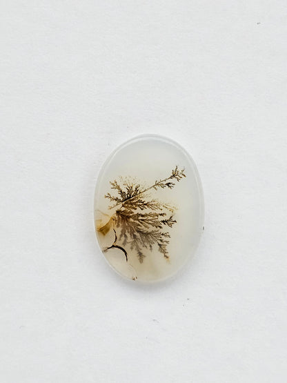 Dentrite agate cabochon large