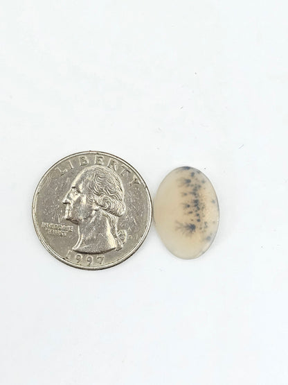 Dentrite agate cabochon large