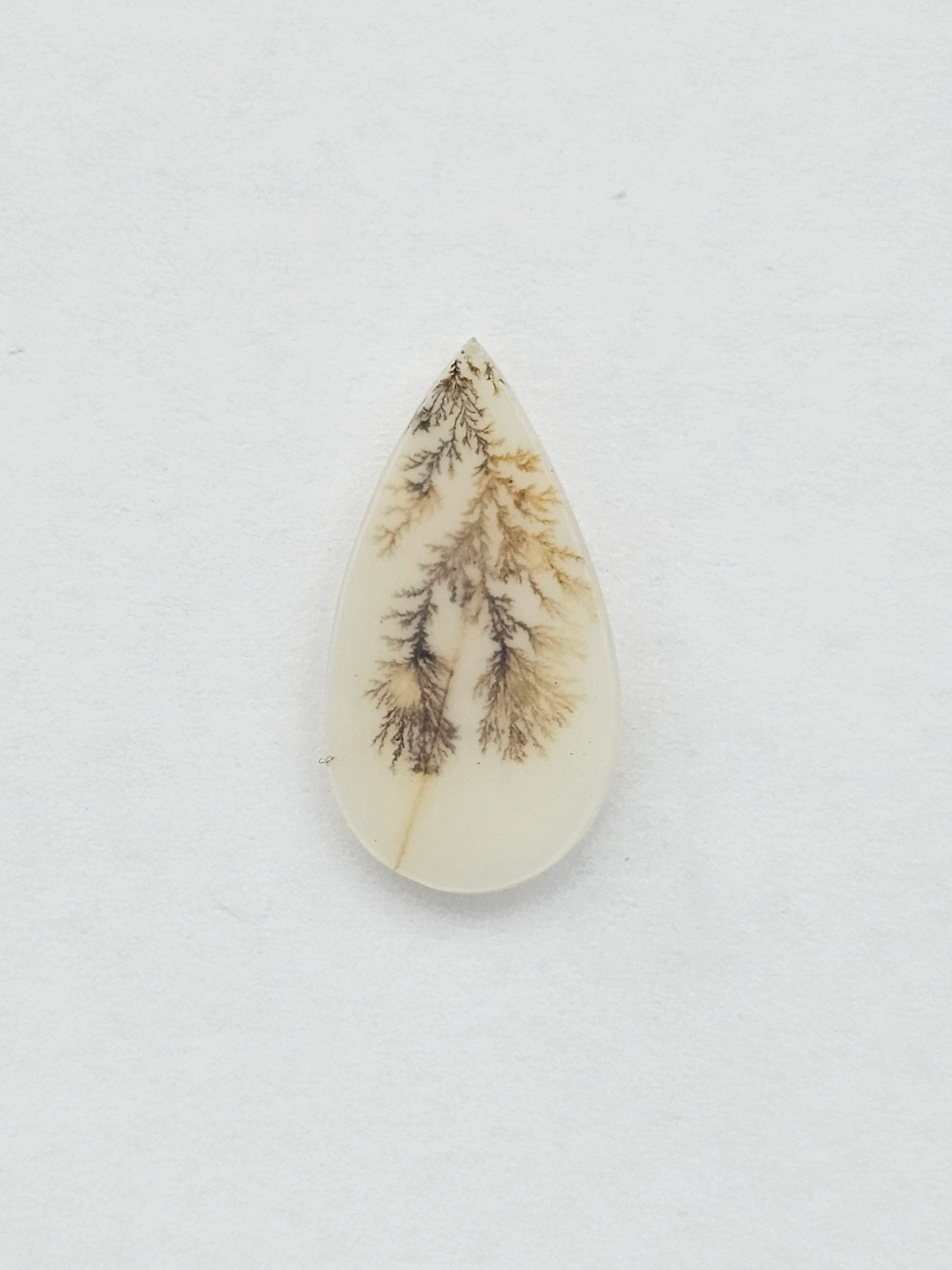 Dentrite agate cabochon large