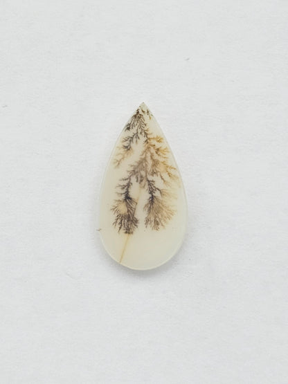 Dentrite agate cabochon large