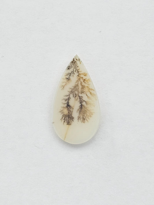 Dentrite agate cabochon large