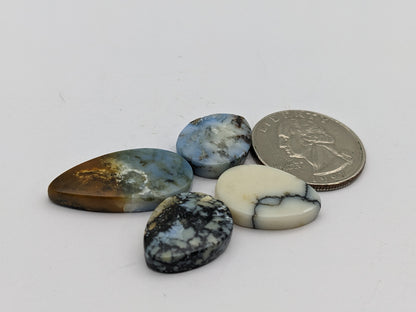 Dark moon variscite