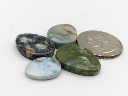 Dark moon variscite